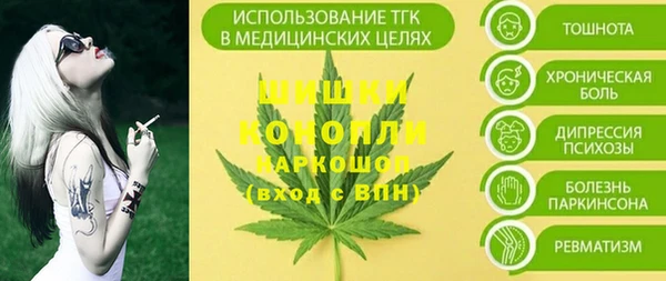 spice Бронницы