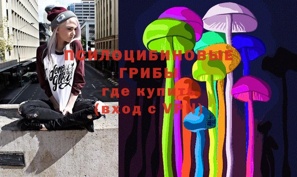 spice Бронницы