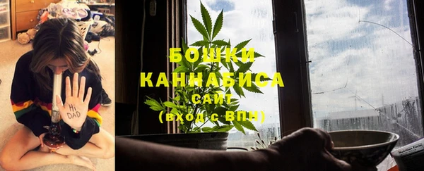 стаф Бугульма