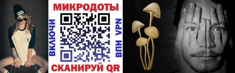 Купить  Горячий Ключ  Псилоцибиновые грибы Psilocybine cubensis 